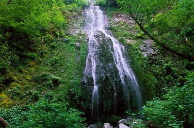 Pheasant Creek Falls