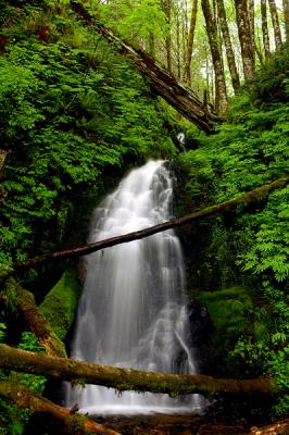 Fern Rock Creek Falls #1