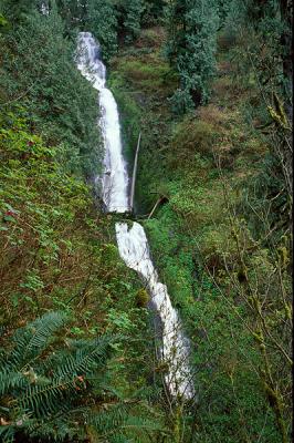 Munson Creek Falls