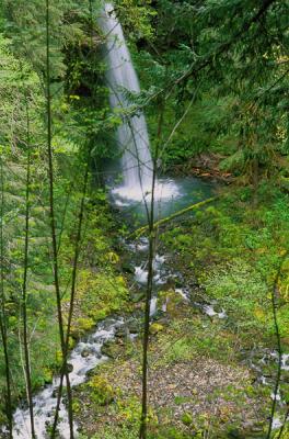 Lewis River