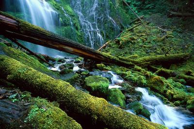 Proxy Falls, Aug 2002 #3