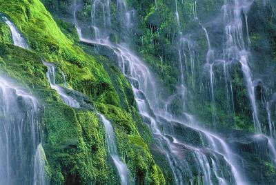 Proxy Falls, Aug 2002 #4