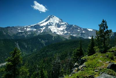 Mount Hood from Elk Cove Trail