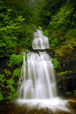 Parker Creek Falls