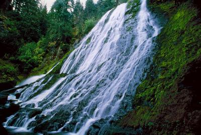 Diamond Creek Falls #1