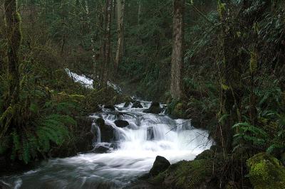 Jordan Creek 2006, #1