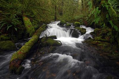 Jordan Creek 2006, #4