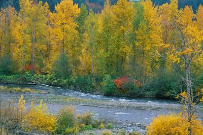 Hood River Fall Colors
