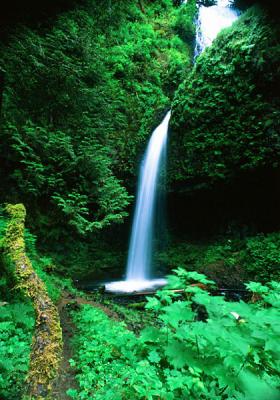 Upper Latourell Falls, both tiers