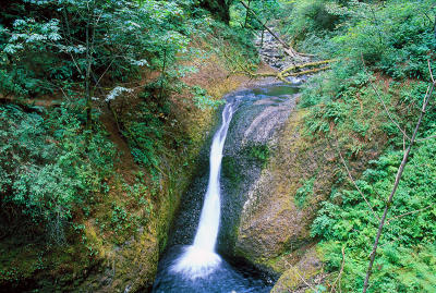 Upper Oneonta Falls (Summer)