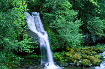 Steep Creek Falls