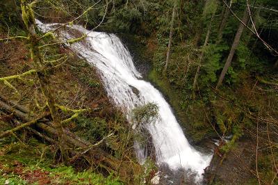 Stout Creek Falls #1