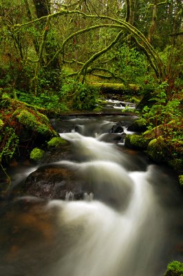 Unnamed stream