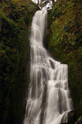 Coopey Falls #3