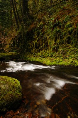 Multnomah Creek #8