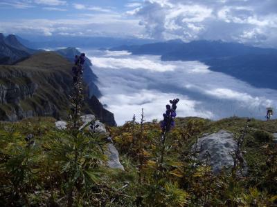 Churfirsten