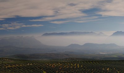 Por los cerros de Ubeda