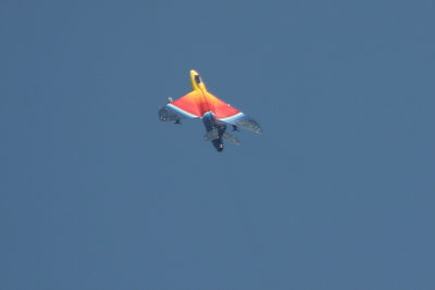 New Aviation Photographs