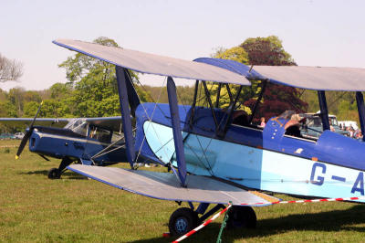 Tiger Moth