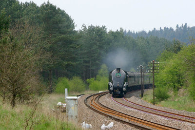 UK Steam 60019 Santon Downham 2008-05-04 7787.jpg