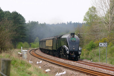 UK Steam 60019 Santon Downham 2008-05-04 7789.jpg