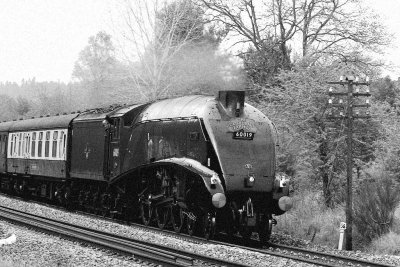 In the Age of Steam?