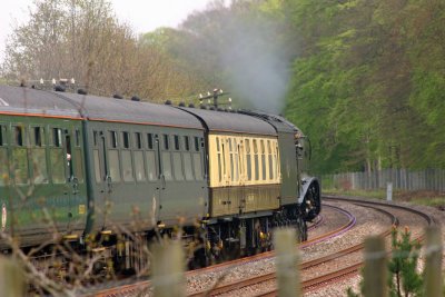 60019 Bittern