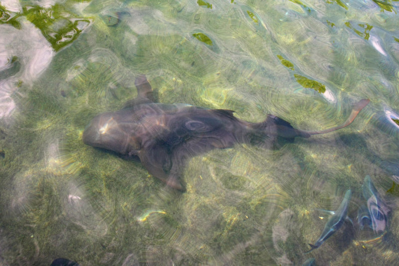 Miami Seaquarium