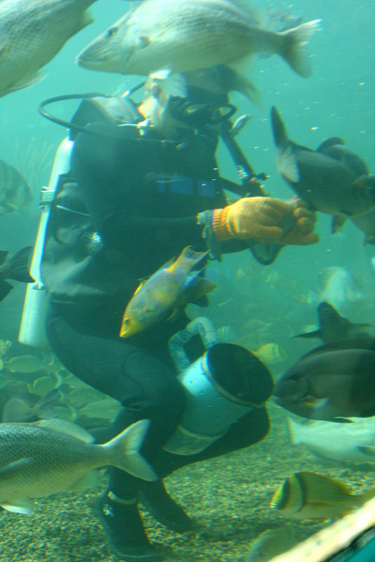 Miami Seaquarium