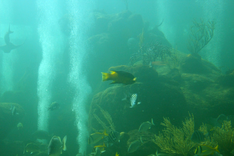 Miami Seaquarium