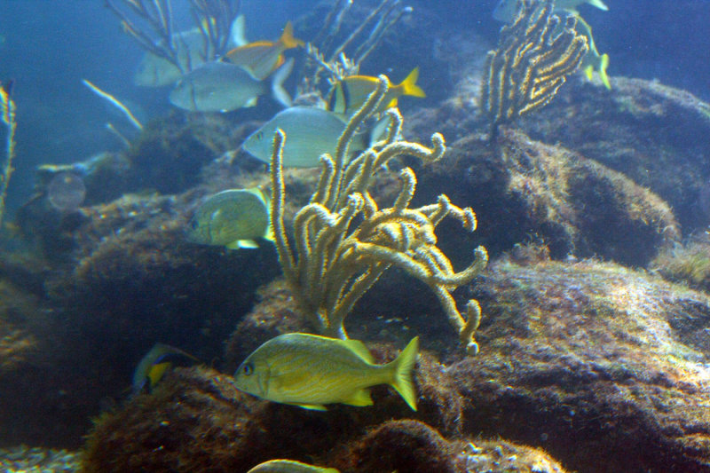 Miami Seaquarium