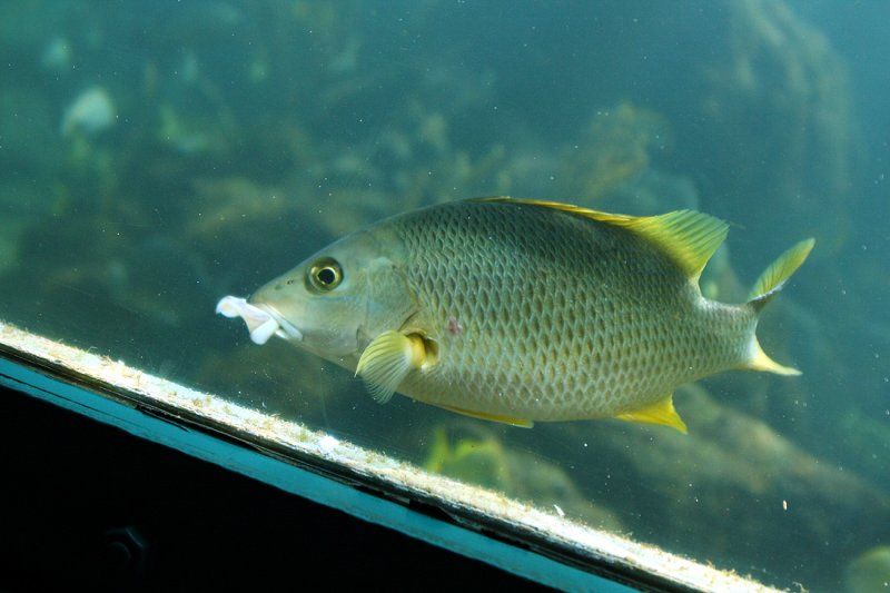 Miami Seaquarium