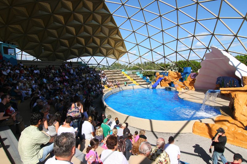 Miami Seaquarium Sea Lion Show