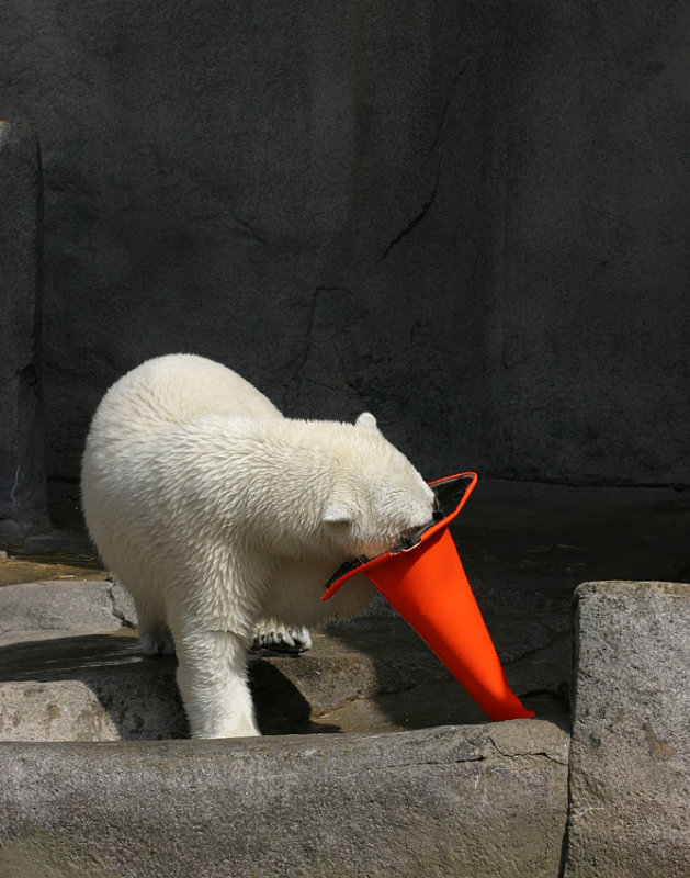 Cone-Face
