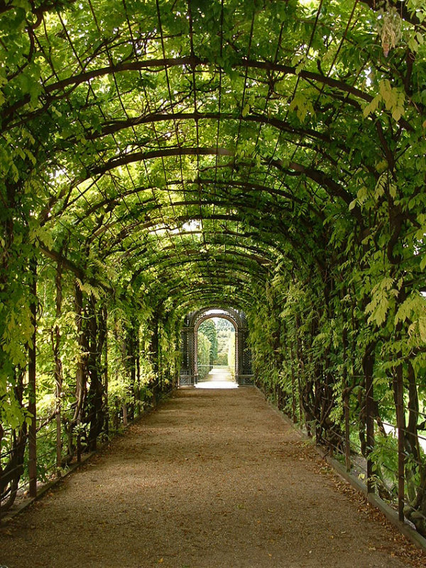 Garden in Schloss  Schoenbrunn, Vienna
