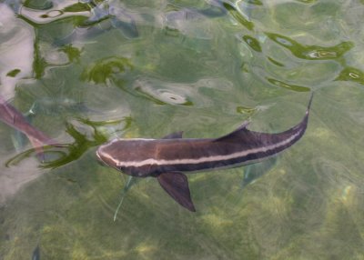 Miami Seaquarium