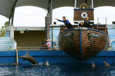 Miami Seaquarium Dolphin Show