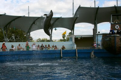 Miami Seaquarium Dolphin Show