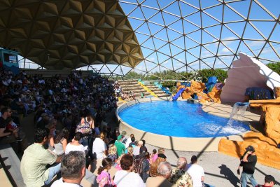 Miami Seaquarium Sea Lion Show