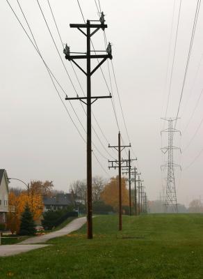 Rainy-Palatine-4