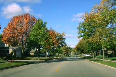 Fall Comes to Palatine
