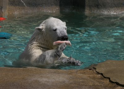 His Treasured Bone