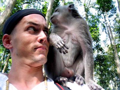 monkey business.jpg