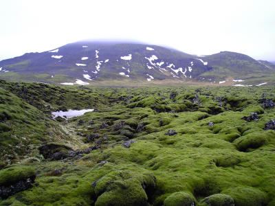 g3/61/630861/3/57705119.GulfossTrip32March262005a.jpg