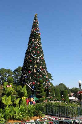 Magic Kingdom Christmas Tree