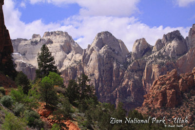 Towers of the Virgin  - Zion National Park-3932