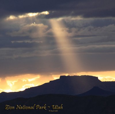 Rays of Sun over Zion-3341