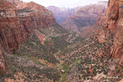 Canyon Overlook Zion N.P