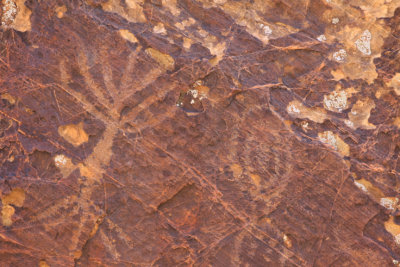 Petroglyphs in Utah-4454.jpg