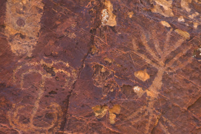 Petroglyphs in Utah-4450.jpg